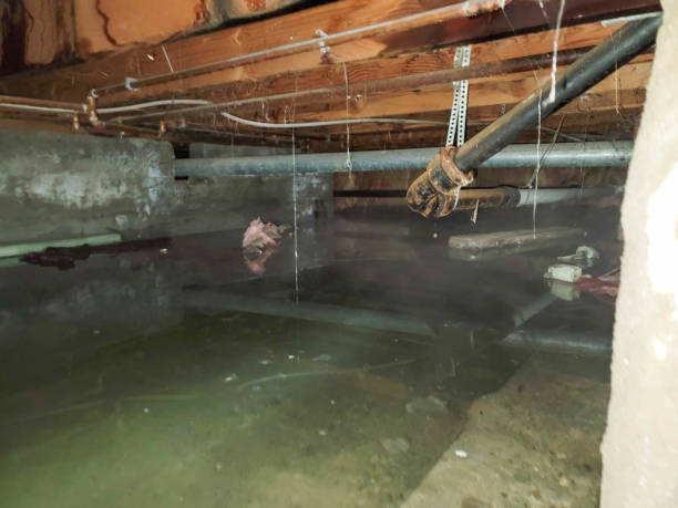 Best Water damage restoration near me  in Gallitzin, PA