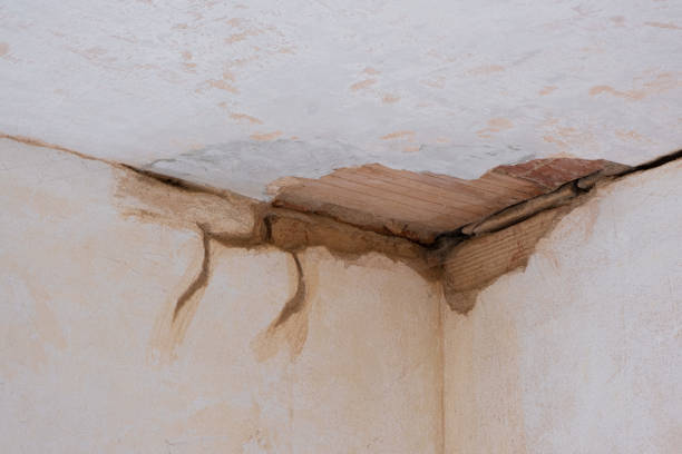 Reliable Gallitzin, PA Water damage restoration Solutions