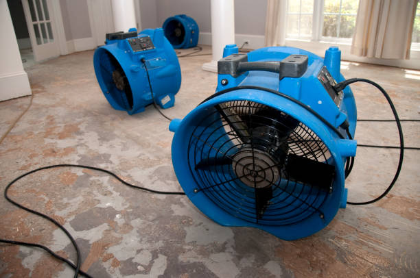 Best Flooded house restoration  in Gallitzin, PA