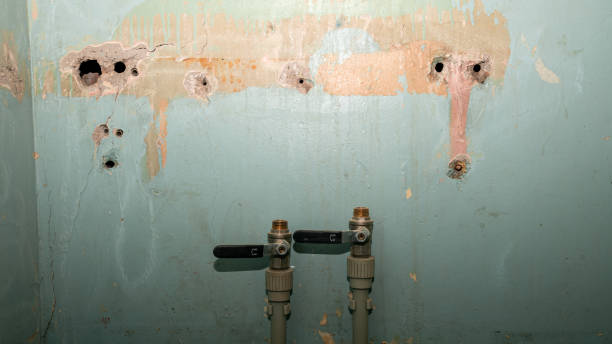 Best Residential water damage restoration  in Gallitzin, PA