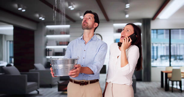 Best Flood damage cleanup  in Gallitzin, PA